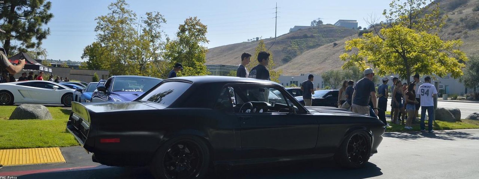 VW Meeting Cali